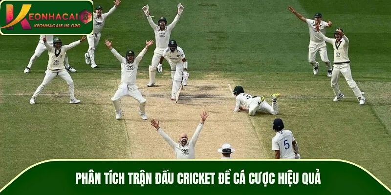 Phân tích trận đấu cricket để cá cược hiệu quả